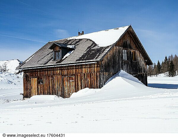 Blue sky over winter landscape  snowed-in alpine hut  Tauplitzalm  Styria  Austria  Europe