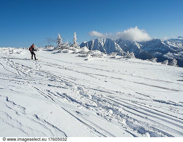 Blue sky over winter landscape  snowshoe hiker on the high plateau at Lawinenstein  Tauplitzalm  Styria  Austria  Europe