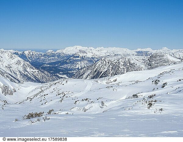 Blue sky over winter landscape  view from Krippenstein to snowy mountain peaks  and glacier  Salzkammergut  Upper Austria  Austria  Europe