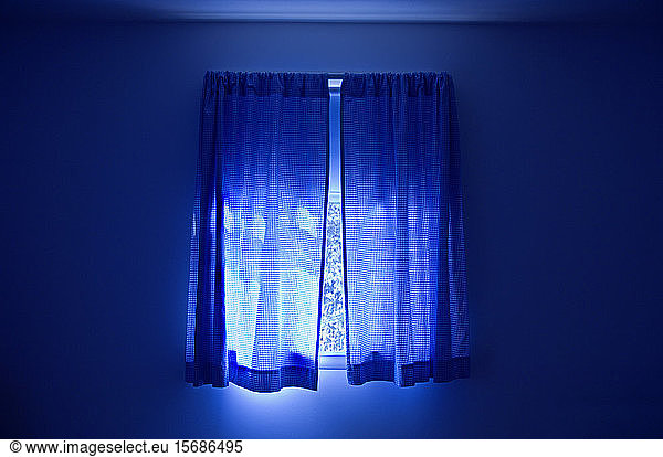 blue  windows  curtains