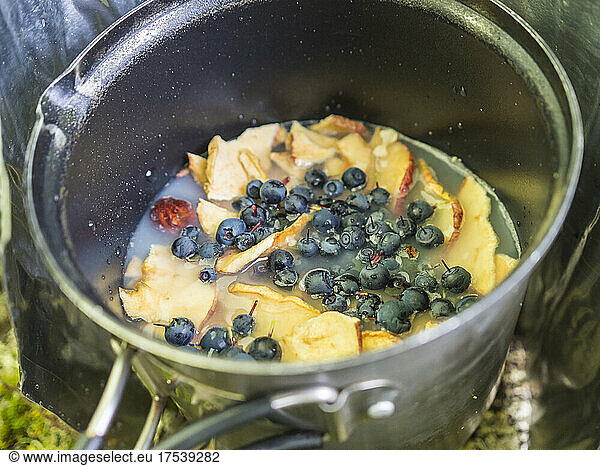 Blueberries and sliced apples in camping cooking pan