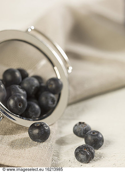 Blueberries in sieve  close up