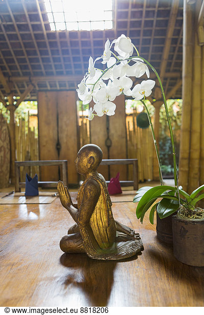 Blume  Statue  Hinduismus  Indonesien  Ubud