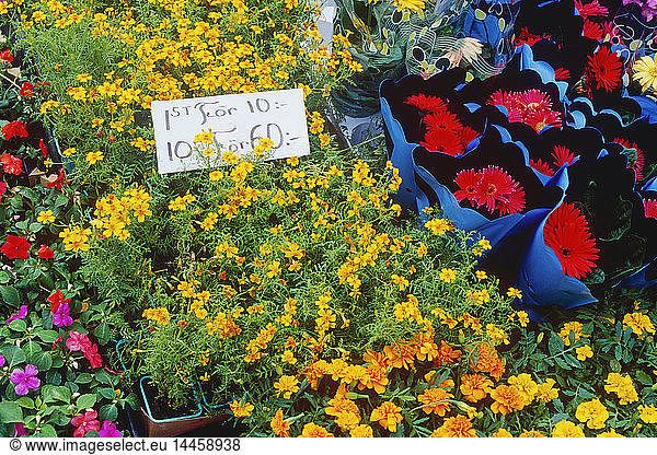 Blumen an einem Marktstand