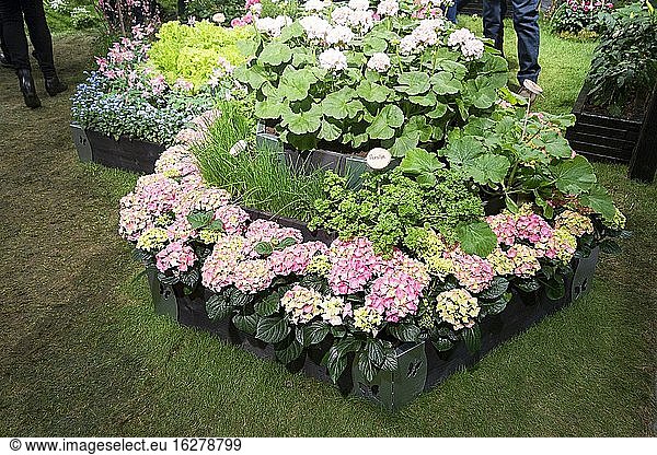 Blumen und Gewürze auf einer Gartenmesse. ?lvsj?-Messe. Stockholm.