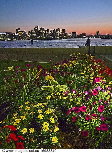 Blumenbeet entlang der Uferpromenade am Bostoner Hafen in der Abenddämmerung.