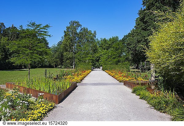 Blumenbeete am Weg  Botanikpark  Kurort  Bad Schallerbach  Hausruckviertel  Oberösterreich  Österreich  Europa