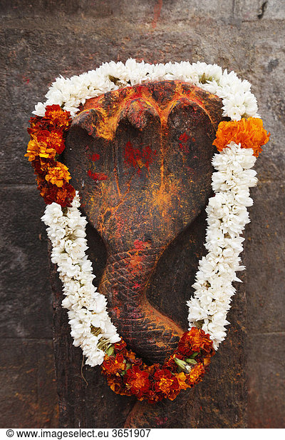 Blumengirlande mit Jasmin- und Tagetes-Blüten um Steinfigur einer Kobra  Mahabaleshwara-Tempel  Chamundi Hill  Mysore  Maisur  Karnataka  Südindien  Indien  Südasien  Asien