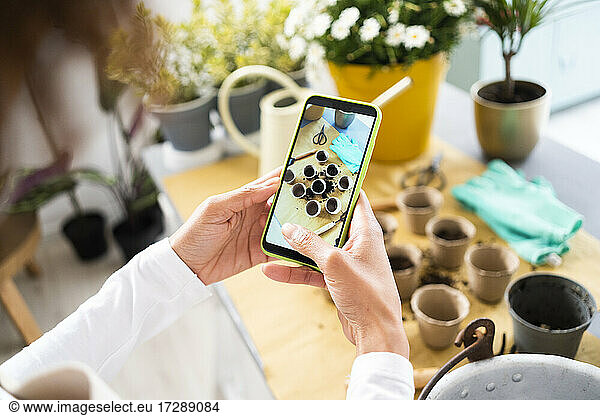 Blumenhändlerin fotografiert Blumentöpfe mit dem Handy in einem Pflanzengeschäft