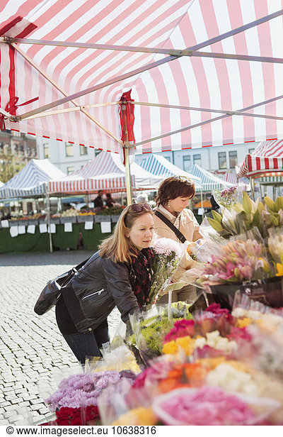 Blumenmarkt Blumenstrauß Strauß Frau Blume Stadt Quadrat Quadrate quadratisch quadratisches quadratischer kaufen reifer Erwachsene reife Erwachsene Markt