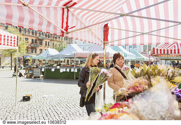 Blumenmarkt Frau Blume Stadt Quadrat Quadrate quadratisch quadratisches quadratischer kaufen reifer Erwachsene reife Erwachsene Markt
