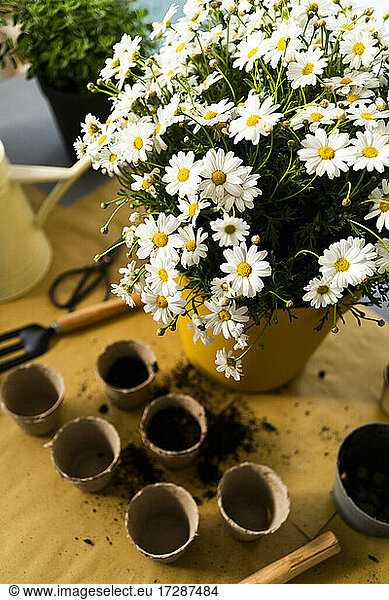 Blumentöpfe auf einem Tisch mit Gartengeräten in einem Pflanzengeschäft