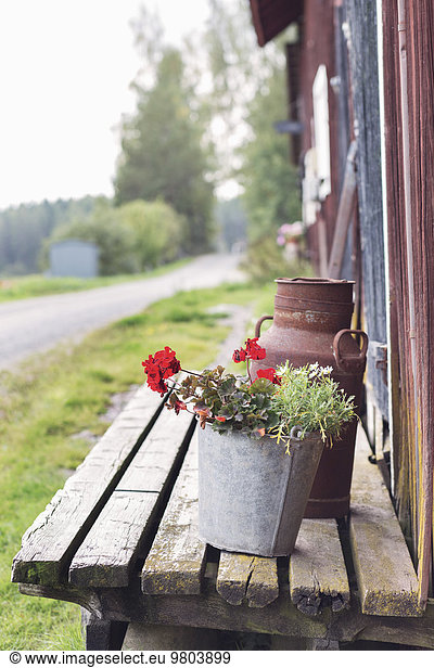 Blumentopf und rostiger Behälter außerhalb der Scheune