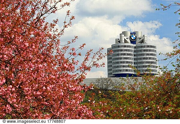 BMW Vierzylinder  blühender Strauch  München  Oberbayern  Bayern  Deutschland  Europa