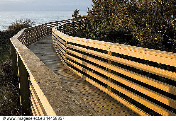 Boardwalk at Ecola State Park  Cannon  Beach  Oregon