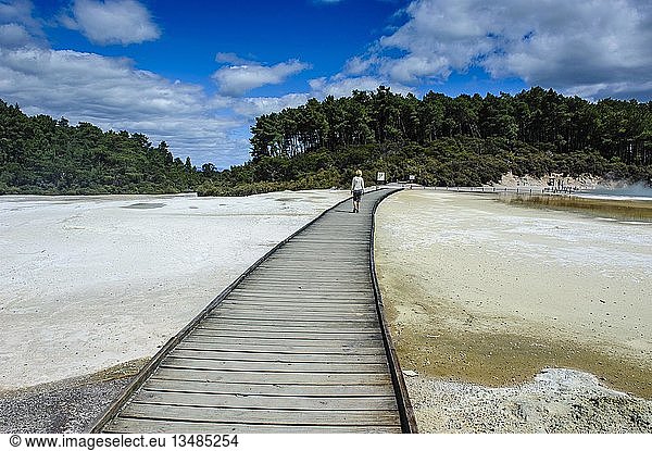 Boardwalk im Wai-O-Tapu Volcanic Wonderland  Nordinsel  Neuseeland  Ozeanien