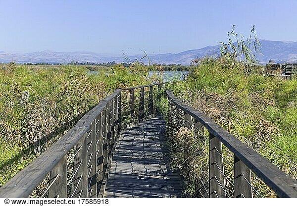 Boardwalks for bird watching  Hula Nature Reserve  Israel  Asia