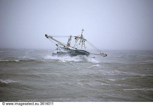 boat, fishing, fish, storm, North Sea, Canal, fishing-net, fishing boat, water, sea, wind, waves, danger, food
