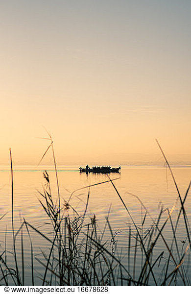 Boat in Valencia's Albufera at sunset against the light