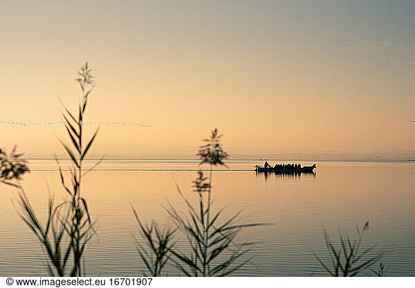 Boat in Valencia's Albufera at sunset against the light