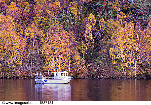 Boat moored at Loch Katrine  autumn colours  The Trossachs  Scotland  United Kingdom  Europe