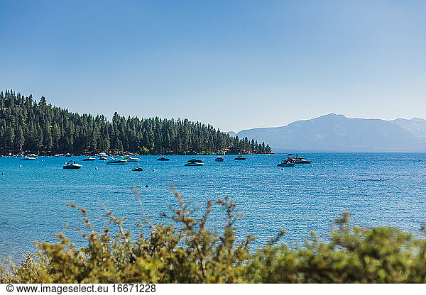 Boats Docked in a Mountain Lake Beside Pine Forests