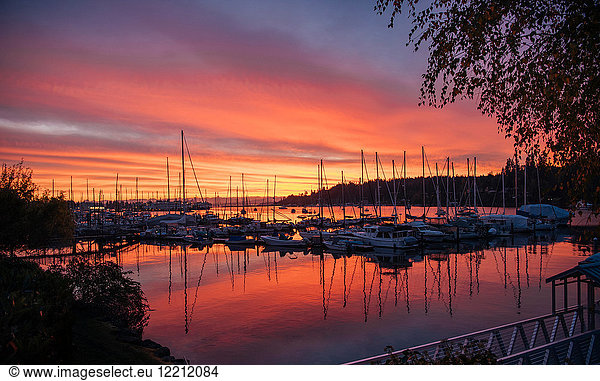 Boats in harbor at sunset  Bainbridge  Washington  United States