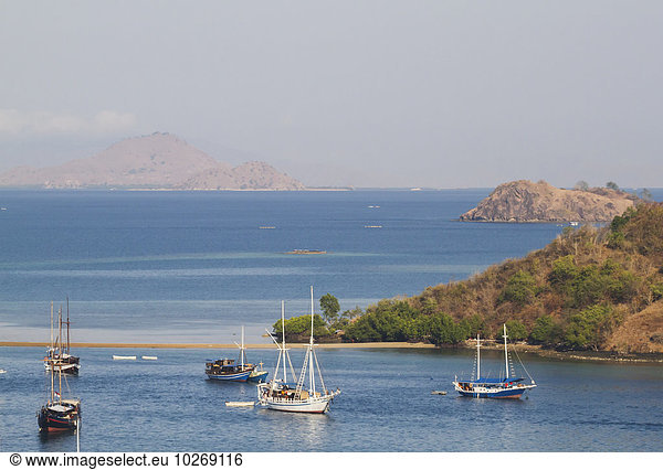 Boats in the harbour  Labuan Bajo  Flores  East Nusa Tenggara  Indonesia