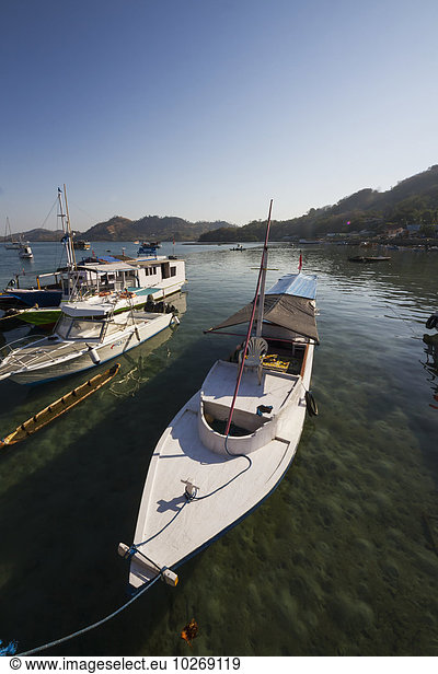 Boats in the harbour  Labuan Bajo  Flores  East Nusa Tenggara  Indonesia