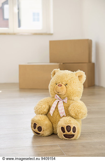 Boden Fußboden Fußböden Transport 1 Teddy Teddybär