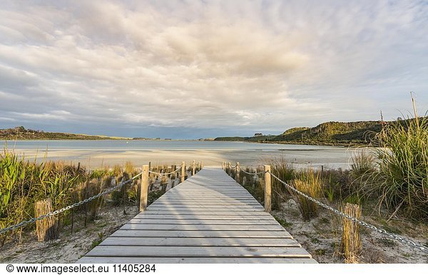 Bohlenweg zum Strand  Taharoa See  Northland  Nordinsel  Neuseeland  Ozeanien
