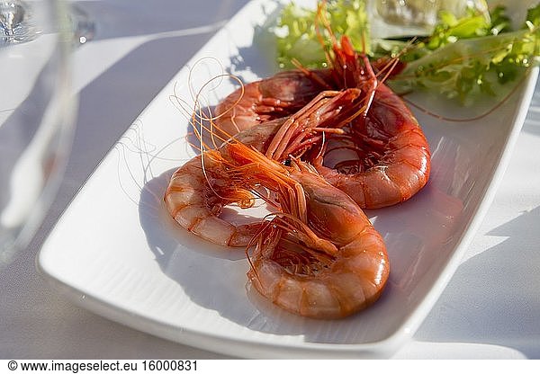 Boiled red shrimps on plate for appetizer Calpe Spain.