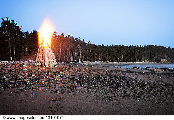 Bonfire at seashore against clear sky
