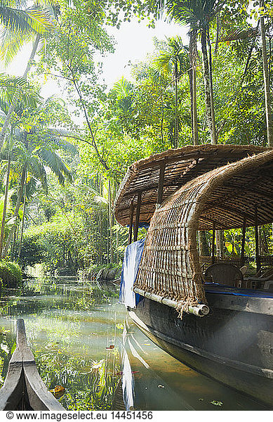 Boot im Dschungel