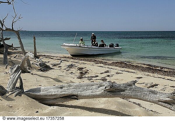 Boot mit Tauchern landet am Strand von Anclitas Islandi  Nationalpark Jardines de la Reina  Archipel  Provinz Camagüey und Ciego de Ávila  Republi  Karibik  Kuba  Mittelamerika
