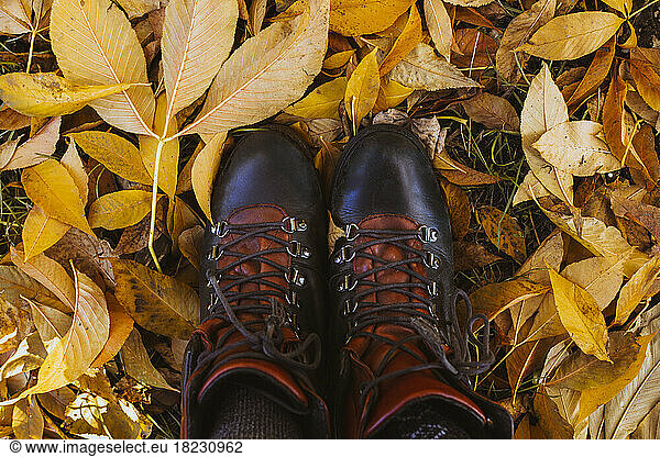 Boots of person standing on fallen leaves