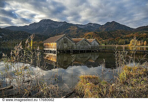 Bootshäuser am Kochelsee im Herbst  Steg  Alpenvorland  Kochelsee  Bayern  Deutschland  Europa