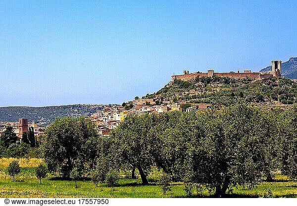 Bosa mit Olivenhain und Castello  Sardinien  Italien  Europa