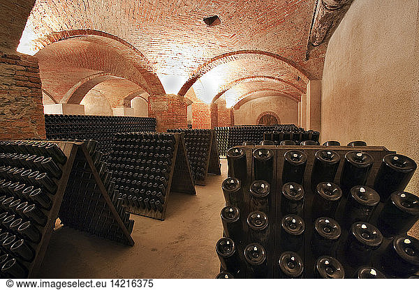 Bosca cellar wine cathedral in Canelli  Asti  Piedmont  Italy  Europe
