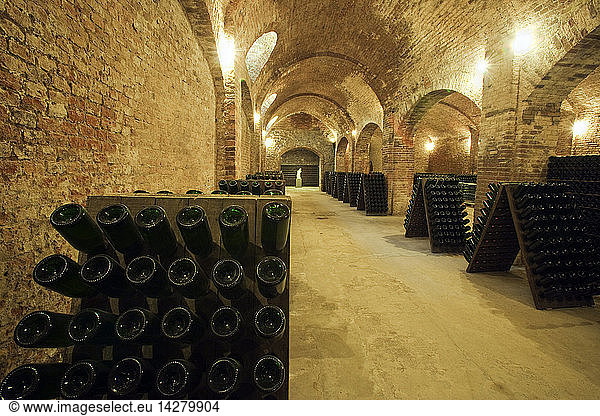Bosca cellar wine cathedral in Canelli  Asti  Piedmont  Italy  Europe