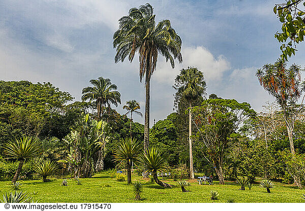 Botanische Gärten von Kisantu  Kisantu  Demokratische Republik Kongo  Afrika