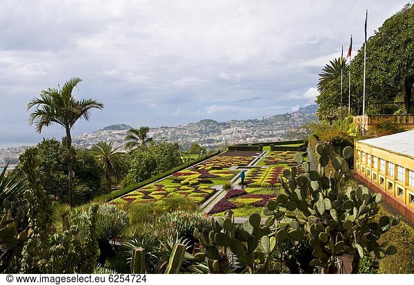 Botanischer Garten Botanische Europa über Ansicht Funchal Madeira Portugal