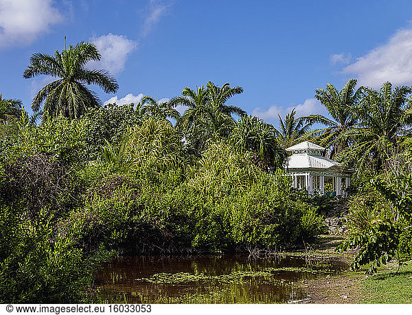 Botanischer Park Königin Elisabeth II.  North Side  Grand Cayman  Kaimaninseln  Karibik  Mittelamerika