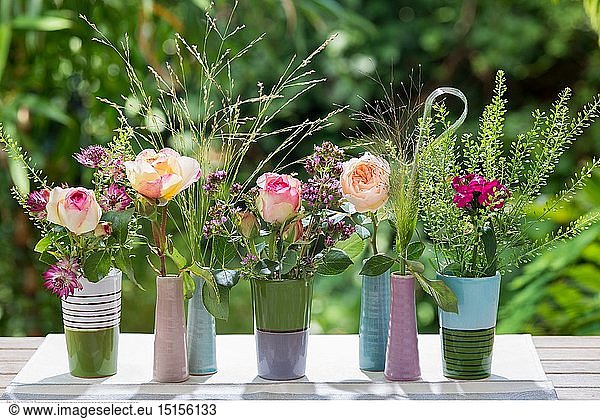 botany  multi-coloured single flower in vase