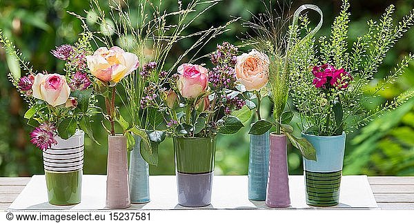 botany  multi-coloured single flower in vase