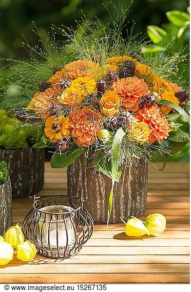 botany  round slur bouquet of in autumn colours
