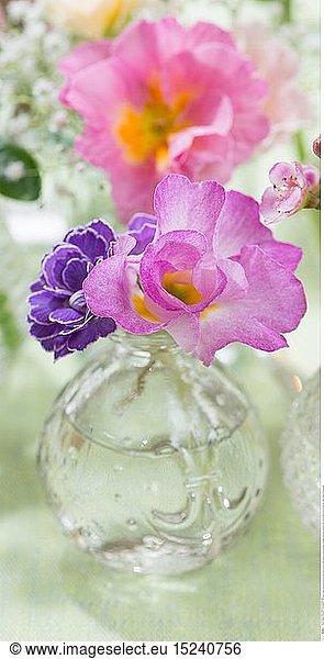 botany  ruched spring blooms in mini vases