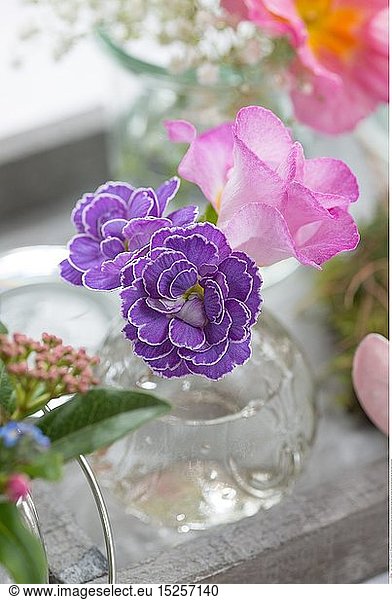 botany  ruched spring blooms in mini vases