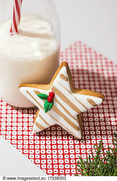 Bottle of milk and star shaped Christmas cookie