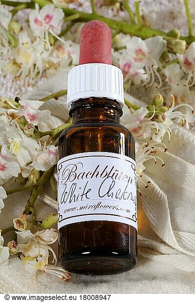 Bottle with Bach Flower Stock Remedy  White Chestnut  Weissblühende Rosskastanie (Aesculus hippocastanum)  Kastanie  Bachblütentropfen  Bachblüten  Bach-Blüten-Therapie